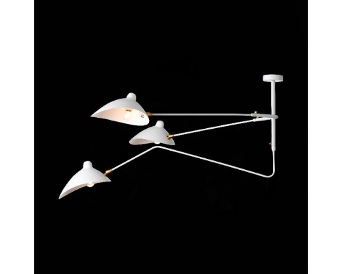 Потолочная люстра Spruzzo SL305.502.03 ST Luce Потолочная люстра Spruzzo SL305.502.03 ST Luce