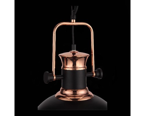 Подвесной светильник SL404.403.01 ST Luce Подвесной светильник SL404.403.01 ST Luce