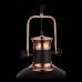 Подвесной светильник SL404.403.01 ST Luce
