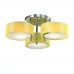 Потолочная люстра Foresta SL483.092.03 ST Luce
