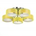Потолочная люстра Foresta SL483.092.05 ST Luce