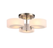 Потолочная люстра Foresta SL483.352.03 ST Luce