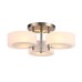 Потолочная люстра Foresta SL483.352.03 ST Luce