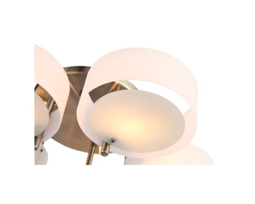 Потолочная люстра Foresta SL483.352.05 ST Luce Потолочная люстра Foresta SL483.352.05 ST Luce
