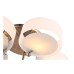 Потолочная люстра Foresta SL483.352.05 ST Luce
