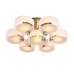 Потолочная люстра Foresta SL483.352.07 ST Luce