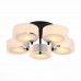 Потолочная люстра Foresta SL483.402.05 ST Luce