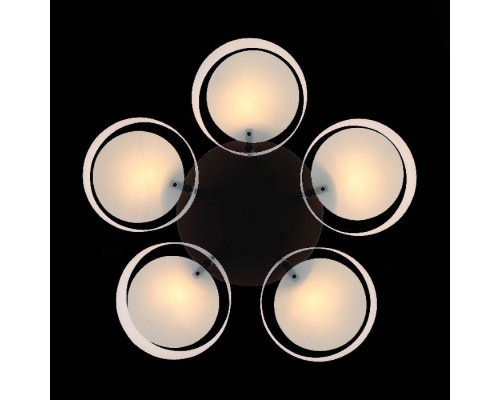 Потолочная люстра Foresta SL483.402.05 ST Luce Потолочная люстра Foresta SL483.402.05 ST Luce