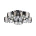 Потолочная люстра Foresta SL483.702.05 ST Luce