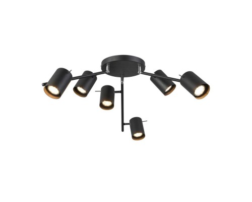 Потолочная люстра Fanale SL597.402.06 ST Luce Потолочная люстра Fanale SL597.402.06 ST Luce