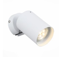 Спот Fanale SL597.501.01 ST Luce