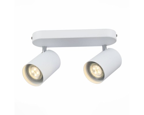 Спот Fanale SL597.501.02 ST Luce Спот Fanale SL597.501.02 ST Luce