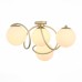 Потолочная люстра Delicata SL711.202.04 ST Luce