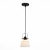 Подвесной светильник Aletante SL714.403.01 ST Luce
