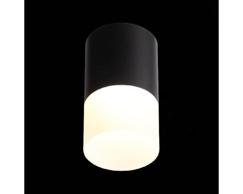 Точечный светильник Ottu ST100.442.10 ST Luce Точечный светильник Ottu ST100.442.10 ST Luce