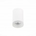 Точечный светильник St100 ST100.502.01 ST Luce