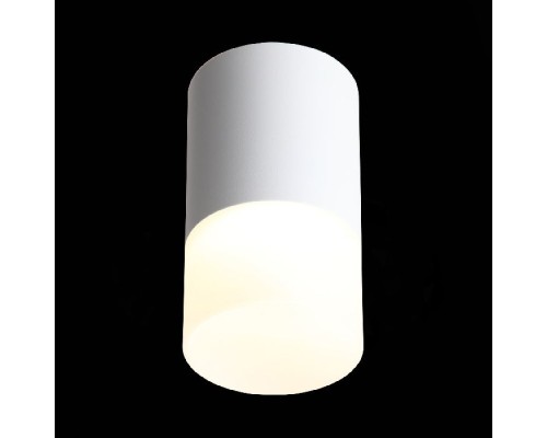 Точечный светильник Ottu ST100.542.05 ST Luce Точечный светильник Ottu ST100.542.05 ST Luce