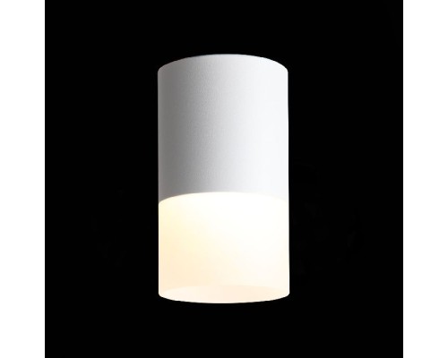 Точечный светильник Ottu ST100.542.10 ST Luce Точечный светильник Ottu ST100.542.10 ST Luce