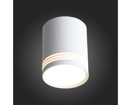 Точечный светильник Cerione ST101.502.12 ST Luce Точечный светильник Cerione ST101.502.12 ST Luce