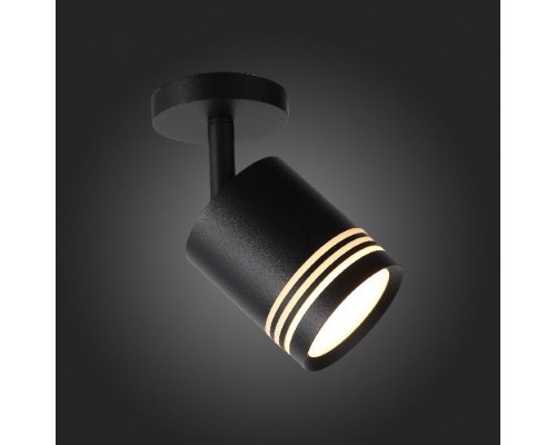 Спот Cerione ST101.412.05 ST Luce Спот Cerione ST101.412.05 ST Luce