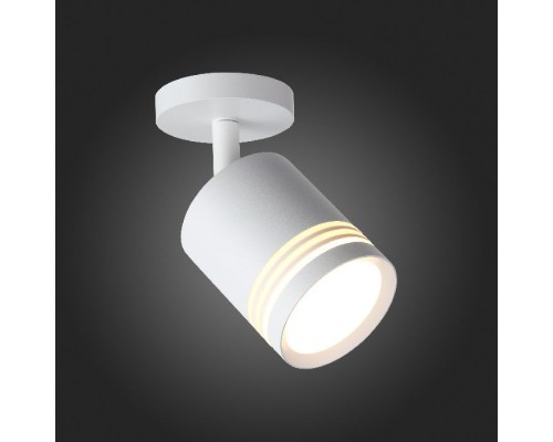 Спот Cerione ST101.512.05 ST Luce Спот Cerione ST101.512.05 ST Luce