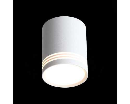 Точечный светильник Cerione ST101.542.12 ST Luce