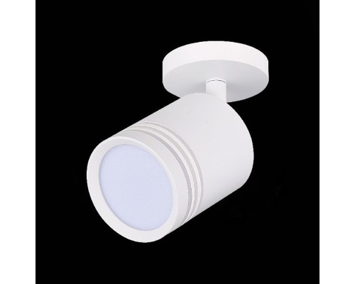 Точечный светильник Cerione ST101.572.05 ST Luce