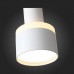Подвесной светильник Panaggio ST102.503.12 ST Luce