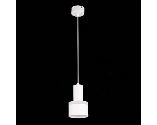 Подвесной светильник Panaggio ST102.543.12 ST Luce
