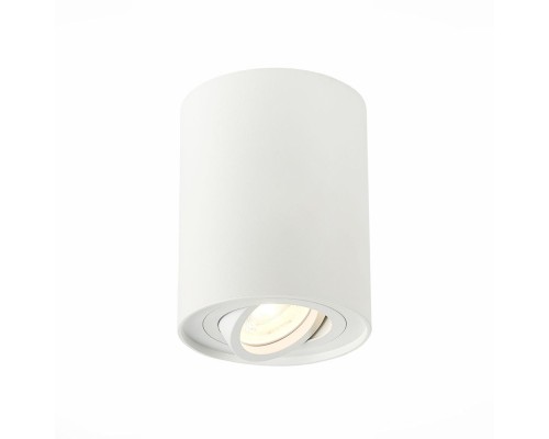 Точечный светильник Torus ST108.517.01 ST Luce Точечный светильник Torus ST108.517.01 ST Luce
