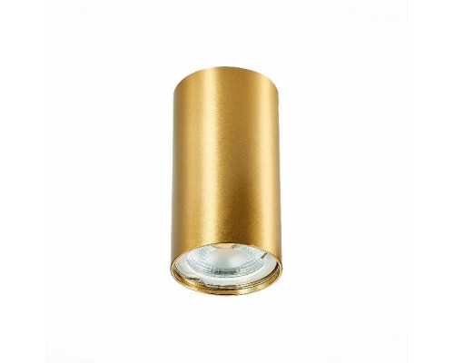 Точечный светильник St110 ST110.207.01 ST Luce Точечный светильник St110 ST110.207.01 ST Luce