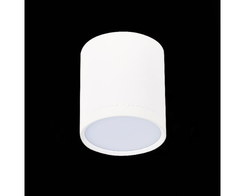 Точечный светильник Rene ST113.532.05 ST Luce Точечный светильник Rene ST113.532.05 ST Luce
