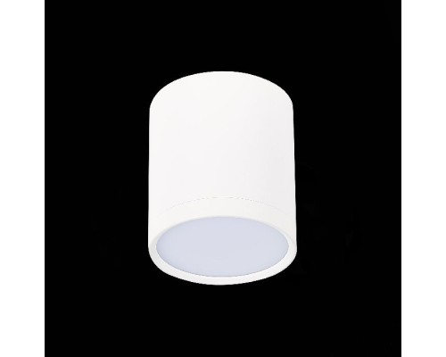 Точечный светильник Rene ST113.542.05 ST Luce Точечный светильник Rene ST113.542.05 ST Luce