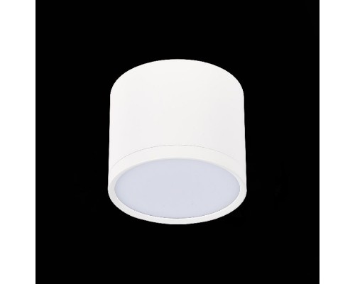 Точечный светильник Rene ST113.542.09 ST Luce Точечный светильник Rene ST113.542.09 ST Luce