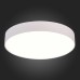 Потолочный светильник ST606.542.48 ST Luce