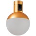Трековый светильник Farm ST815.206.05 ST Luce