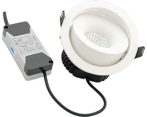 Точечный светильник COMBO DL-FS-1006-60-W-12-WW SWG Точечный светильник COMBO DL-FS-1006-60-W-12-WW SWG