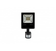 Прожектор уличный  FL-SMD-20-CW-S SWG