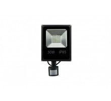 Прожектор уличный  FL-SMD-30-WW-S SWG