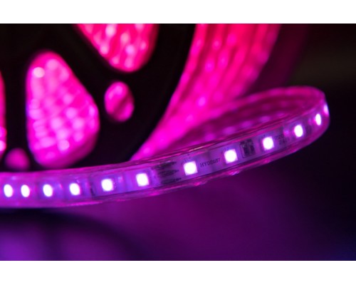 Светодиодная лента LT560-RGB-50 SWG Светодиодная лента LT560-RGB-50 SWG