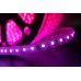 Светодиодная лента LT560-RGB-50 SWG