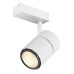 Трековый светильник TL58-BW-20-NW SWG