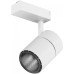 Трековый светильник TL58-BW-20-WW SWG