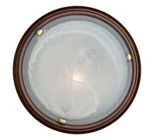 Настенно-потолочный светильник Lufe Wood 136/K Sonex