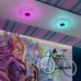 Потолочный светильник Rola Muzcolor 4628/DL Sonex