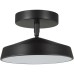 Потолочный светильник Mira Black 7656/12L Sonex
