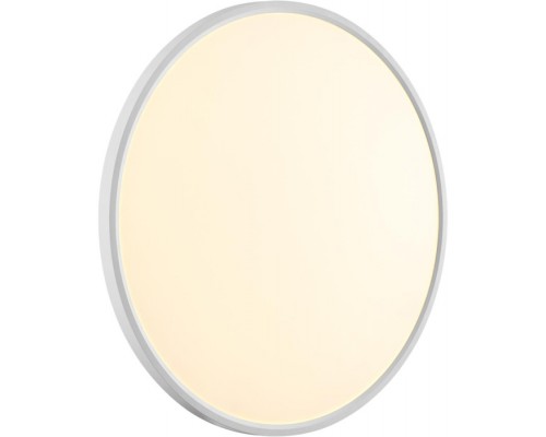 Настенно-потолочный светильник Alfa White 7659/48L Sonex Настенно-потолочный светильник Alfa White 7659/48L Sonex