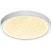 Настенно-потолочный светильник Omega White 7661/18L Sonex