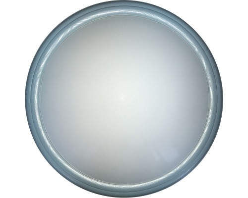 Настенно-потолочный светильник Portia TL1128-1Y TopLight Настенно-потолочный светильник Portia TL1128-1Y TopLight