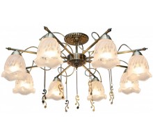 Потолочная люстра Delia TL1195X-08AB TopLight